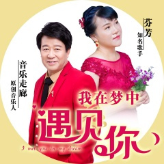 我在梦中遇见你