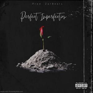 Perfect Imperfection