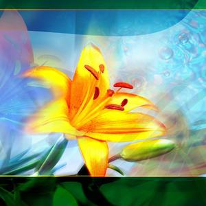 你是在说晚霞吗