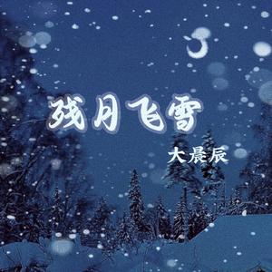 残月飞雪