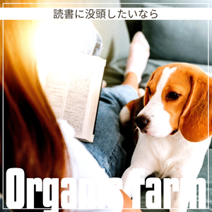 In the Pages of the Story