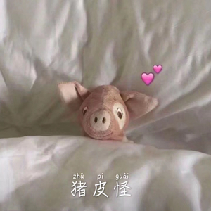 Russ-Psycho Remix（英俊的猪皮怪 remix）