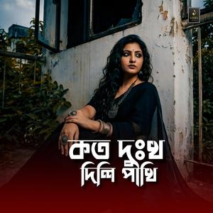 কত দুঃখ দিলি পাখি