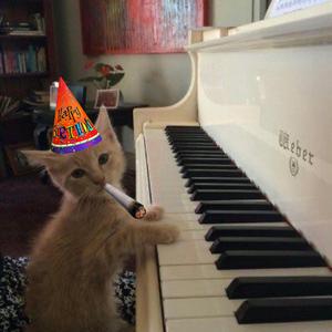 i dont love you anymore