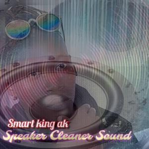 Speaker Cleaner Sound