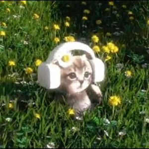 Dans la soirée!!! >_< speedup