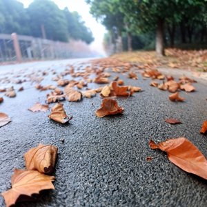 你是我 无法治愈的曾经