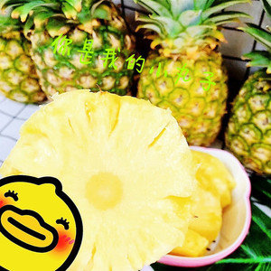 你是我的小丸子 (伴奏)