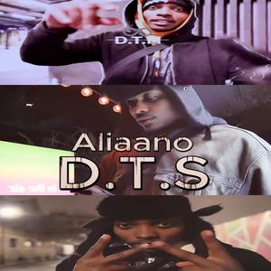 D.T.S