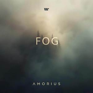 Fog