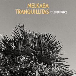 Tranquillitas (feat. Didier Declercq)