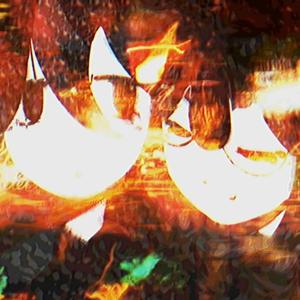 interconnectivity (feat. Rhy)