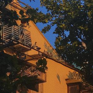 老天的安排（Prod.By Jianastic.X）