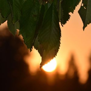 光芒碎屑