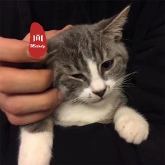 欧美潮音 (DJ版)