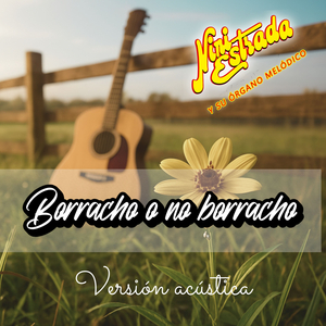 Borracho o no borracho (Versión Acústica)