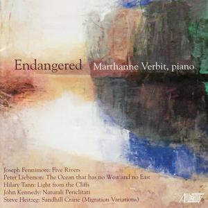 Light from the Cliffs