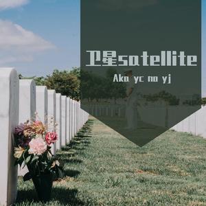 卫星satellite