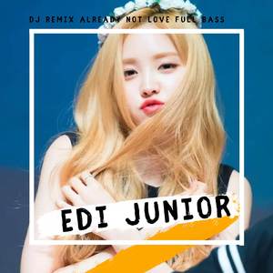 DJ REMIX ALREADY NOT LOVE FULL BASS