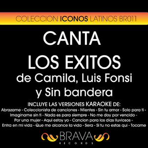 Coleccionista de Canciones (Karaoke Version)