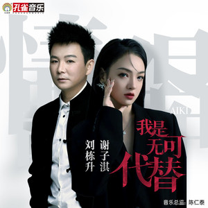 我是无可代替