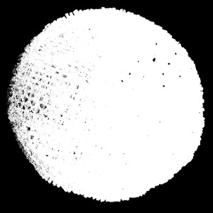 Starfield