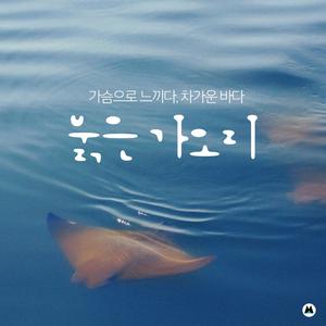 바다 위 저무는 햇살