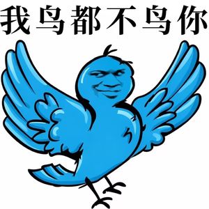 我鸟都不鸟你