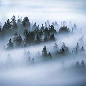 秘密花园的钥匙 (助眠音乐3分钟入睡)