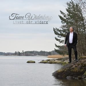 Det är jag som ror din båt i land