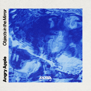 Objects In The Mirror