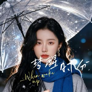 来不及说爱你（翻唱）