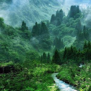 山脚（cover：姜铭杨）