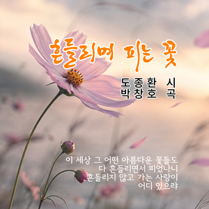 흔들리며 피는 꽃 1