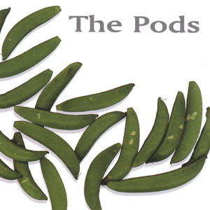 What Am I Supposed To Do?