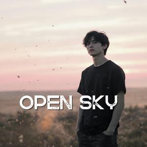 Open Sky