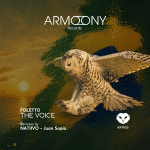 The Voice