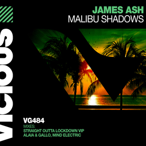 Malibu Shadows (Mind Electric Remix)