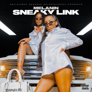 SNEAKY LINK