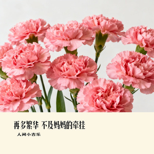 再多繁华 不及妈妈的牵挂