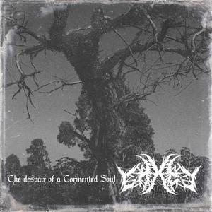 The Despair of a Tormented Soul