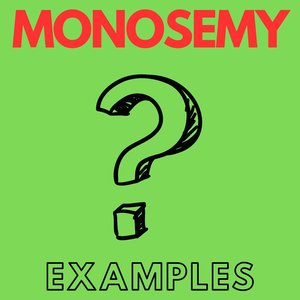 Homonymy