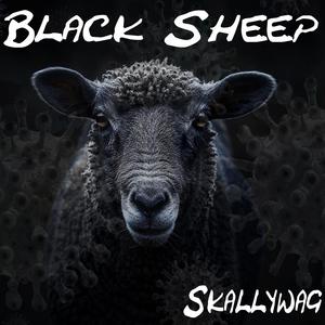 Black Sheep