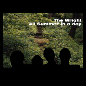 Денежное дерево