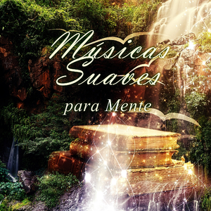 Six Grandes Marches, Op. 40, D. 819, No. 6 in E Major: VI. Allegro con brio