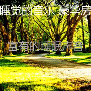 柔和的沉睡时刻