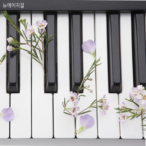 친구에서 연인으로