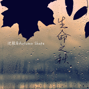 去海边，在云间