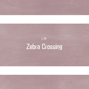 Zebra Crossing