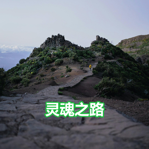 灵魂之路